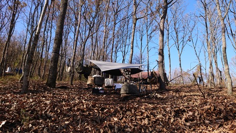 126-111(25-25)CAMP✕WOODS375