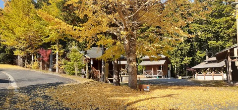 182-166(24-23)牧の原キャンプ場2回目1112_124207