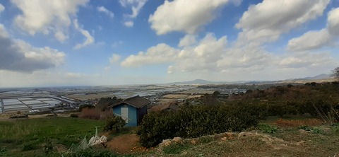 135-120(34-34)草枕山荘30_131047