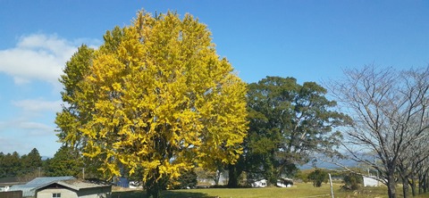 240-223(29-28)ひなもりキャンプ場1124_123049