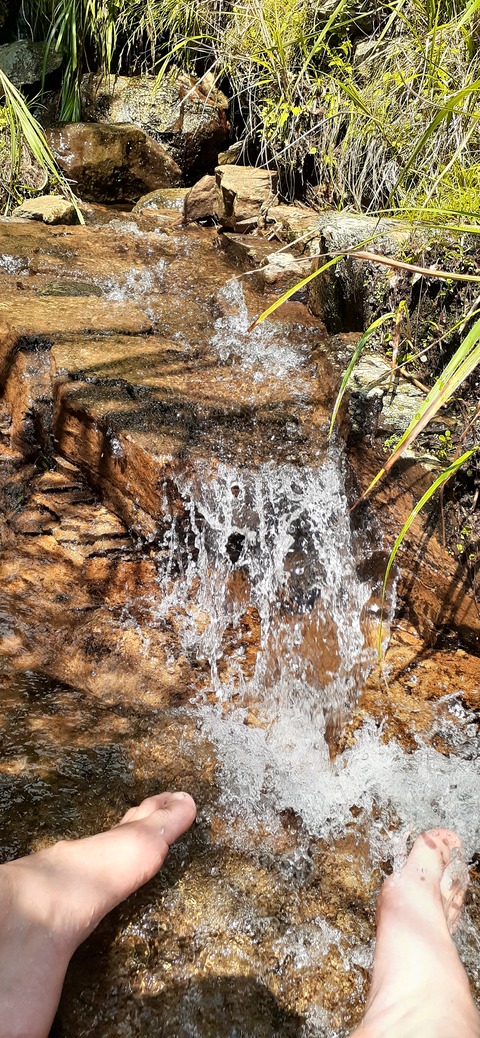 223-206(12-11)四季見原すこやかの森②815_152206