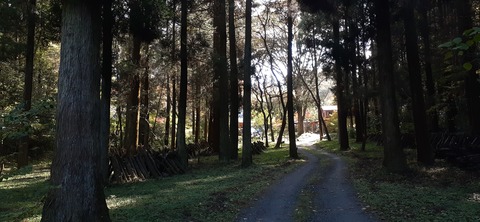 182-166(24-23)長湯きらりキャンプ場1105_133243