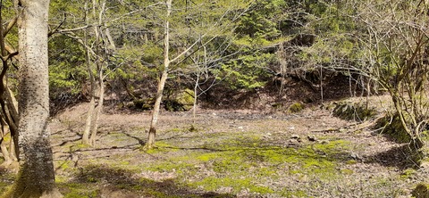 202-186(44-43)八木山渓流公園325_143926