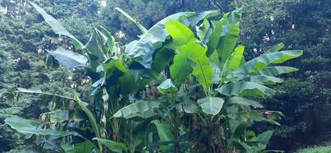 231-214(20-19)牛斬山1001_163816