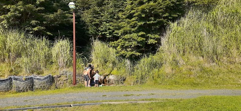 223-206(12-11)四季見原すこやかの森②815_162556R