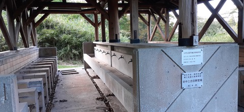176-161(18-18)坊中野営場1008_164250