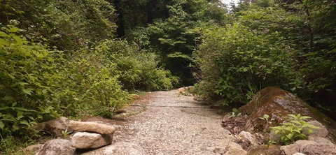 268-248(5-4)万年山616_100933