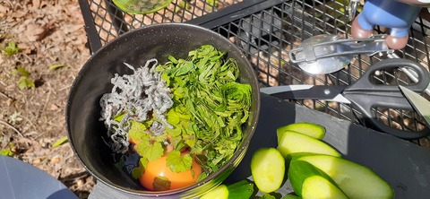 153-138(52-52)マゼノ 甲の瀬キャンプ村430_141216