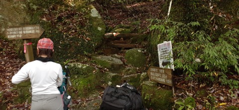 259-240(48-45)宮之浦岳新高塚小屋430_073901