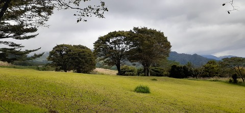 177-162(19-19)HGP南阿蘇OSCAMP1009_122951