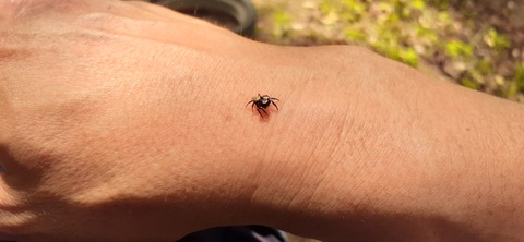 160-145(2-2)グランピング川崎3回目528_134759