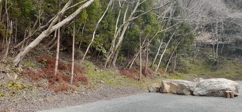 201-185(43-42)カワラテラス320_121651