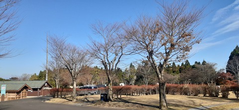 240-223(29-28)ひなもりキャンプ場1124_141603