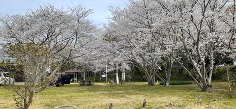203-187(45-44)長崎鼻リゾートキャンプ場402_095746