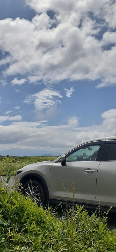 223-206(12-11)四季見原すこやかの森②815_111122