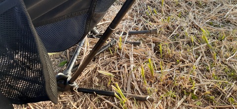 253-234(42-39)障子ヶ岳山頂キャンプ316_170402