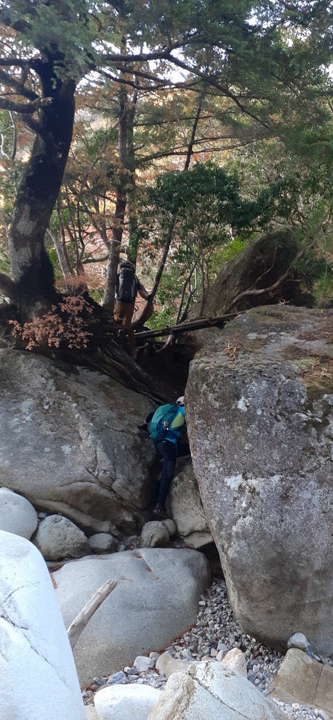 236-219(25-24)大崩山1104_065730