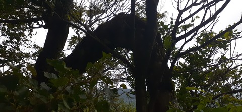 227-210(16-15)スノーピーク奥日田902_114423