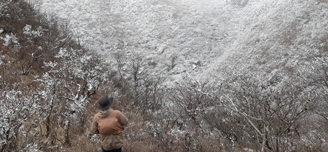 250-231(39-36)RECAMP志高湖 由布岳211_073019(0)