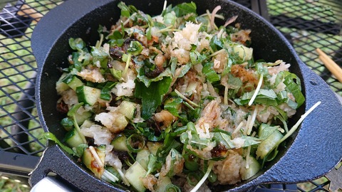 59-48(14-12)瀬の本高原オートキャンプ場489S