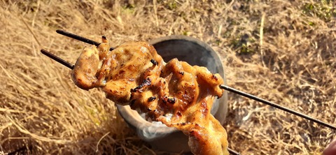 251-232(40-37)伽藍岳ゲリラキャン302_163916