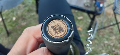 181-165(23-22)仲山城跡キャンプ場1104_155815