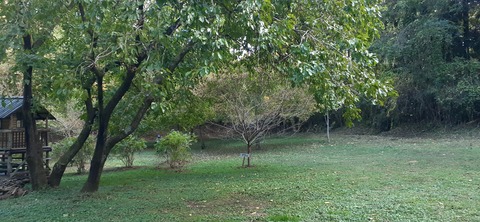 182-166(24-23)長湯きらりキャンプ場1105_132509