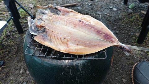 109-94(8-8)背振山キャンプ場854