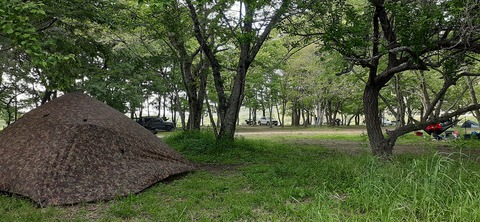 207-191(49-48)津志田河川公園乙女河原501_153524