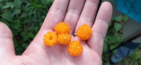 257-238(46-43)開聞岳428_063012