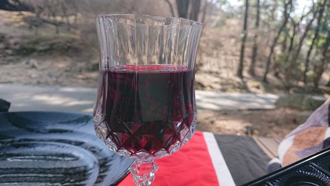 88-74(43-38)昭和の森一本松サイト877