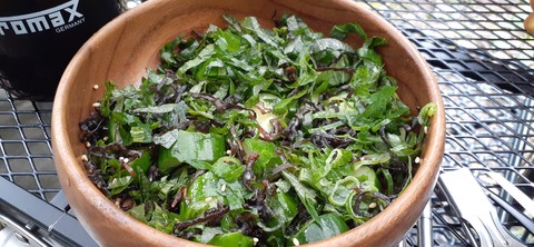 157-142(56-56)日之影キャンプ村506_144410