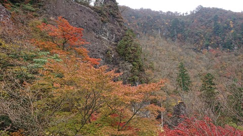 124-109(23-23)英彦山野営場116