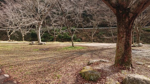 130-115(29-29)新平ヶ原公園キャンプ場866