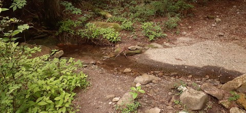 268-248(5-4)万年山616_100510