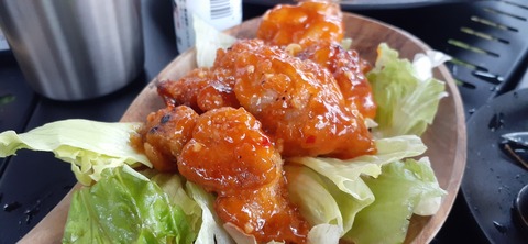 220-203(9-8)ゴンドーシャロレー722_180129