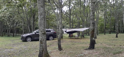 172-157(14-14)くじゅう自然動物園903_145528