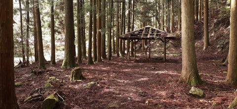 202-186(44-43)八木山渓流公園325_111557