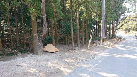 88-74(43-38)昭和の森一本松サイト869