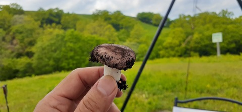 159-144(1-1)遊牧民521_144238