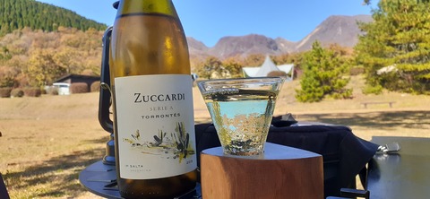 180-164(22-21)久住高原Ｈ天空の大地1103_135125