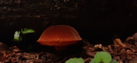 227-210(16-15)スノーピーク奥日田902_100255