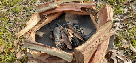 155-140(54-54)うめキャンプ村504_170544