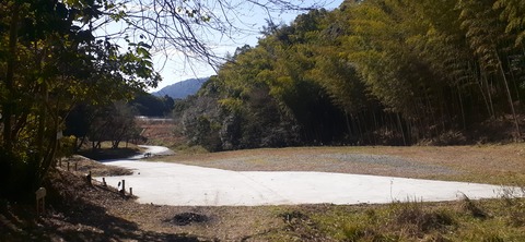 251-232(40-37)大坂山障子ヶ岳218_125531