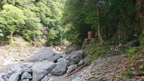 100-85(55-49)鹿川キャンプ場991