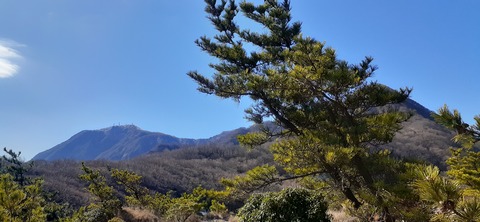 251-232(40-37)伽藍岳ゲリラキャン303_094225