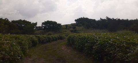 268-248(5-4)万年山616_083200