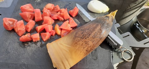 203-187(45-44)長崎鼻リゾートキャンプ場401_154822