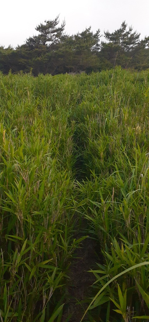 268-248(5-4)万年山616_082236