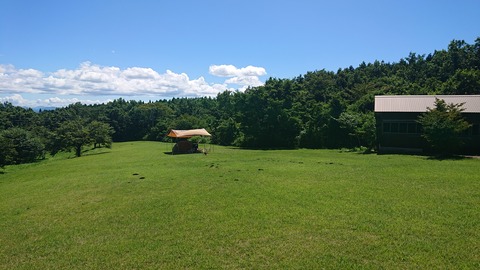 58-47(13-11)スパージュ284S